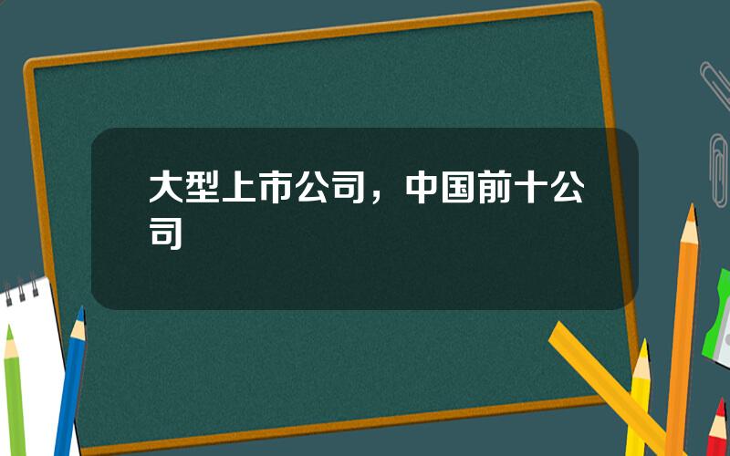 大型上市公司，中国前十公司