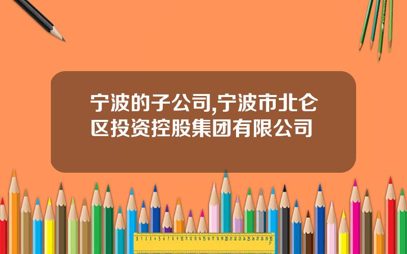 宁波的子公司,宁波市北仑区投资控股集团有限公司