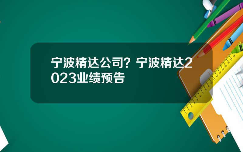 宁波精达公司？宁波精达2023业绩预告