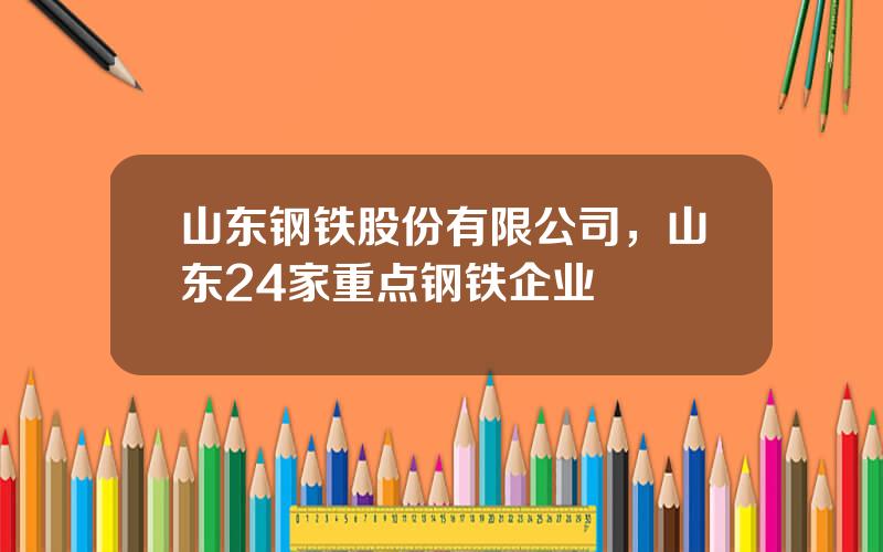 山东钢铁股份有限公司，山东24家重点钢铁企业