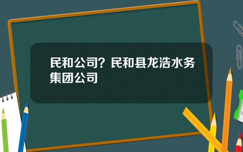 民和公司？民和县龙浩水务集团公司