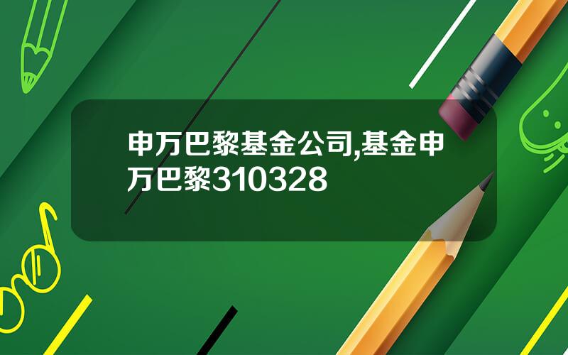 申万巴黎基金公司,基金申万巴黎310328