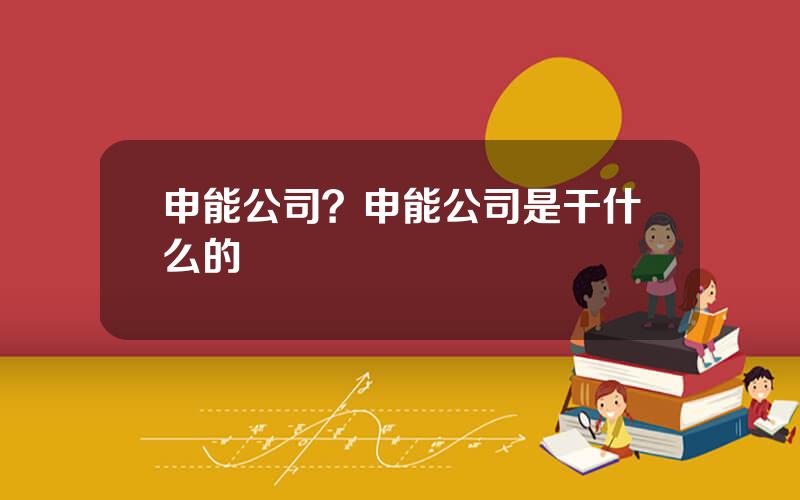 申能公司？申能公司是干什么的