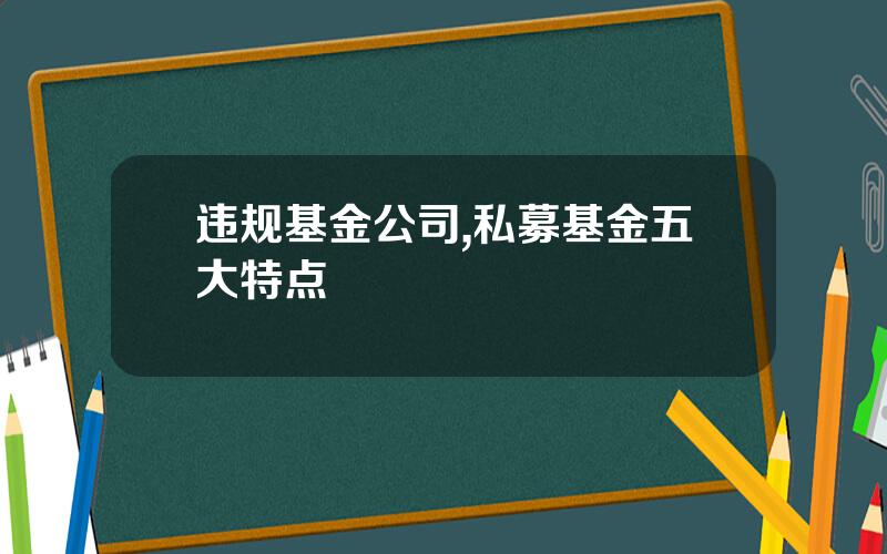 违规基金公司,私募基金五大特点