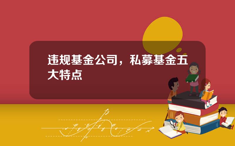 违规基金公司，私募基金五大特点